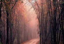 戴格诺特：我们总说一个领袖就是做正确事情的人 SGA说到做到.