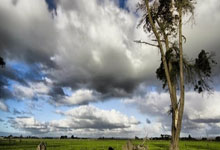 [流言板]许利民：今天虽输球，但全队上下克服伤病全力以赴值得称赞.